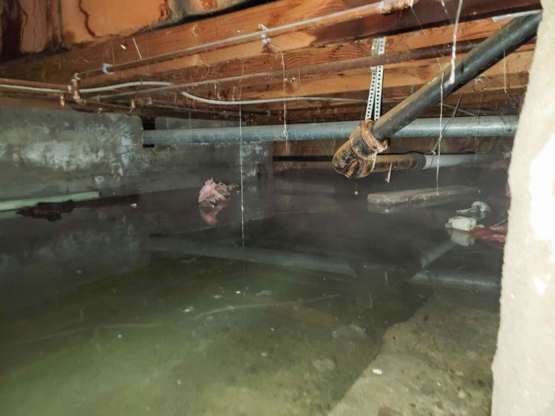 Flooded Basement Cleanup in Wilmington, NC