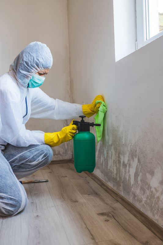 Certified Mold Remediation Teams