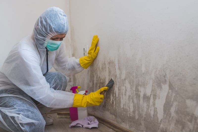 Mold Prevention Specialists